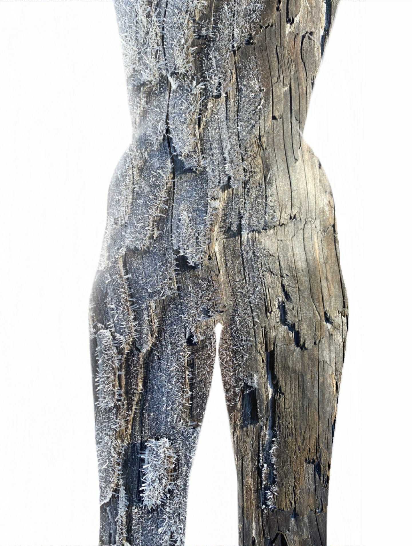 Limited Edition Prints - 18x24in