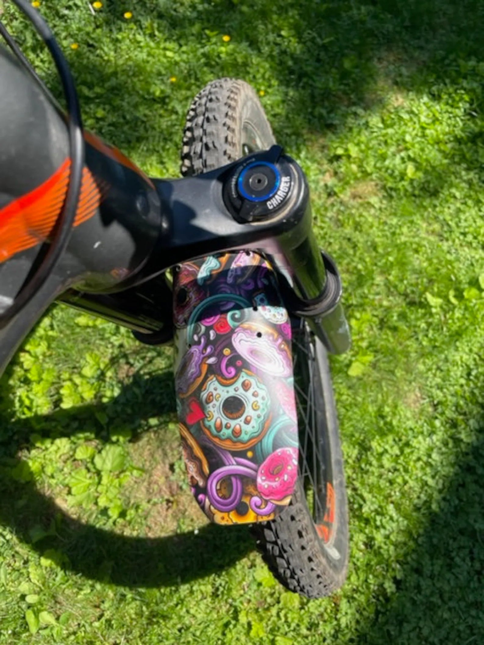 Mountain Bike Fender